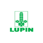 Lupin